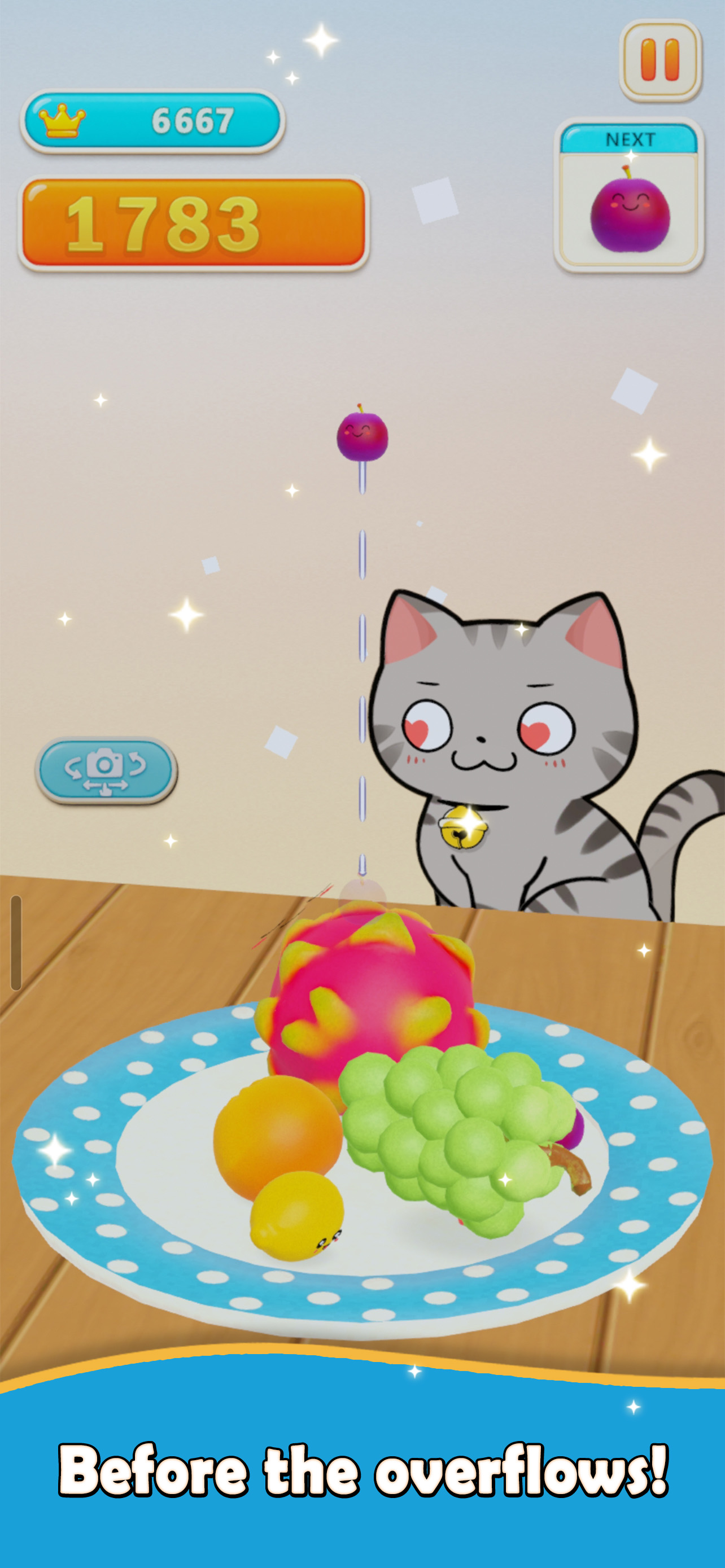 Fruits Plate screenshot 2
