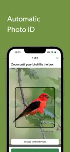 Merlin Bird ID by Cornell Lab screenshot #7 for iPhone