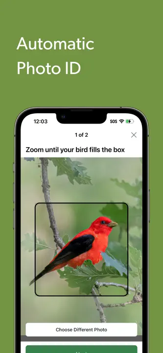 Merlin Bird ID by Cornell Lab: Screenshot 7 von 8