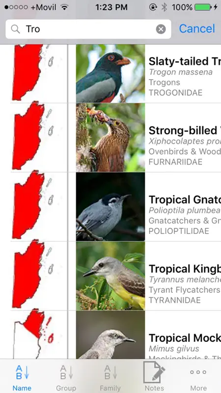 Belize Birds Field Guide screenshot 6 of 7