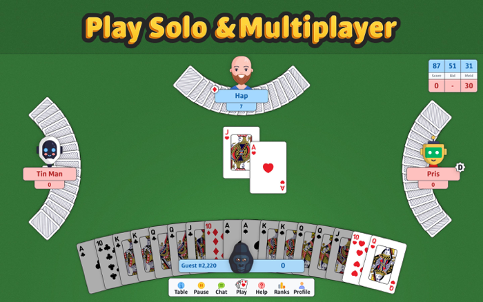 Double Deck Pinochle ‣