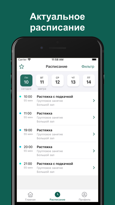 LoonaFlex Screenshot
