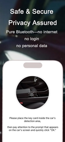 SexyKey for Tesla – Auto Open Screenshot 5 of 5