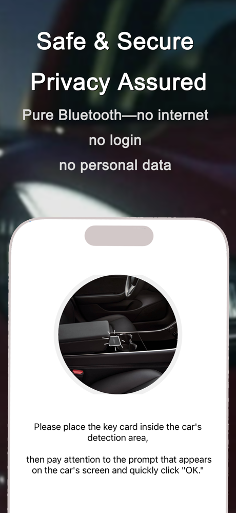 SexyKey for Tesla – Auto Open screenshot 5