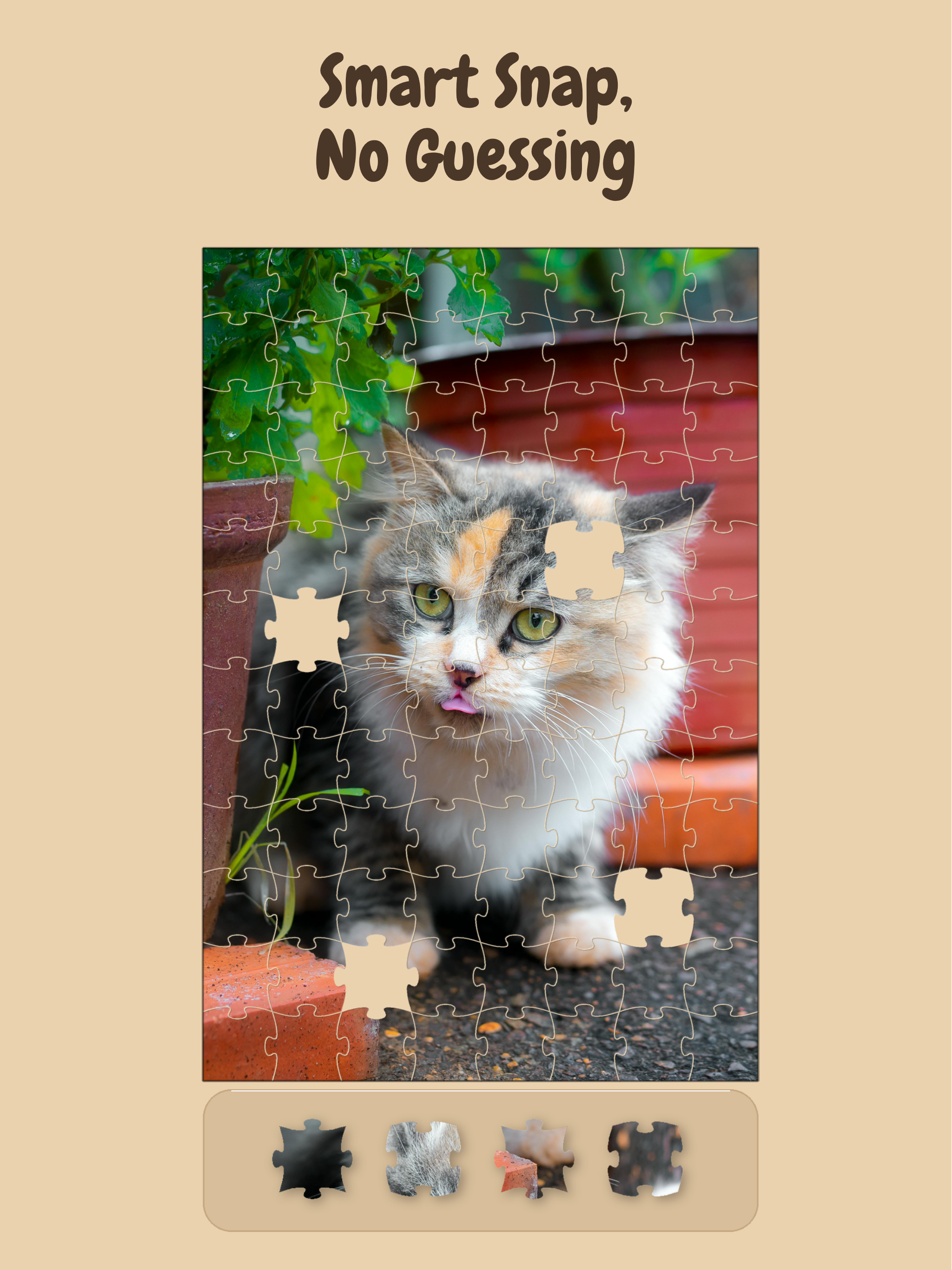 Cozy Jigsaw