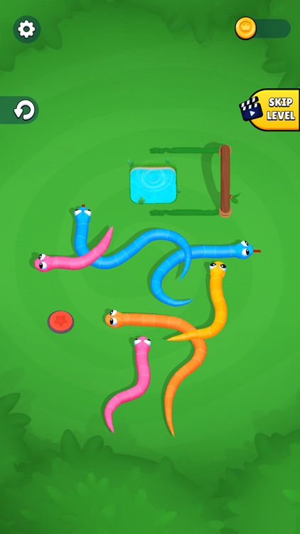 Snake Knot: Sort Puzzle Game