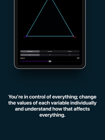Lines - Math Visualizer iPad screenshot