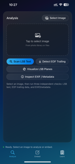 StegInsight screenshot 4