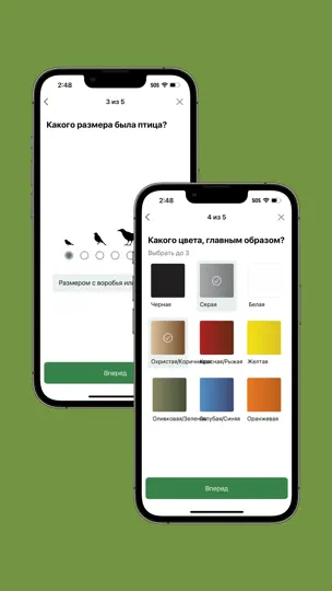 Скриншот Merlin Bird ID By Cornell Lab на iPhone 6