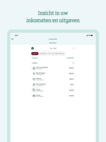 SNS iPad screenshot 1