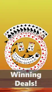freecell solitaire ‏‎ iphone screenshot 4