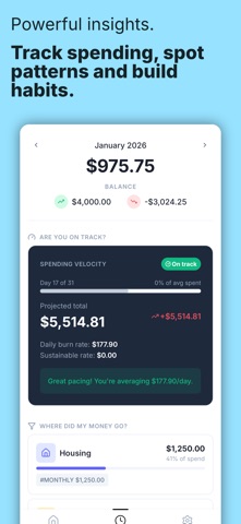 Money Manager: Cash Book iPhone screenshot