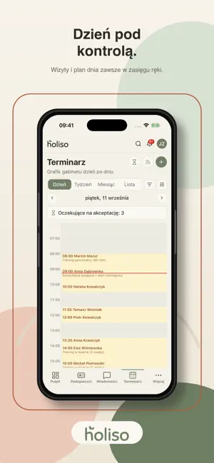 Holiso screenshot 1