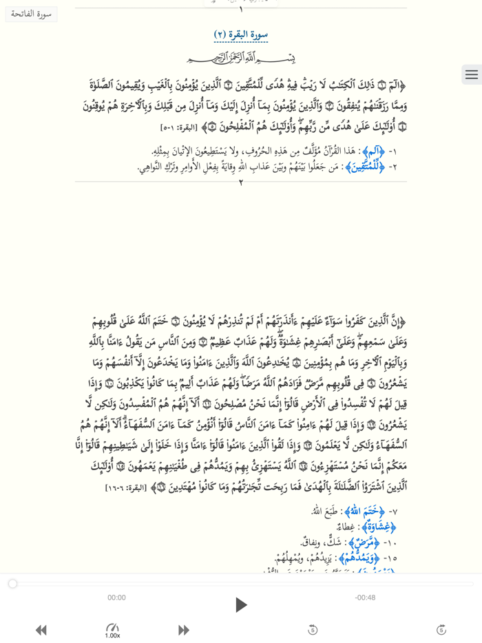 التفسير التفاعلي