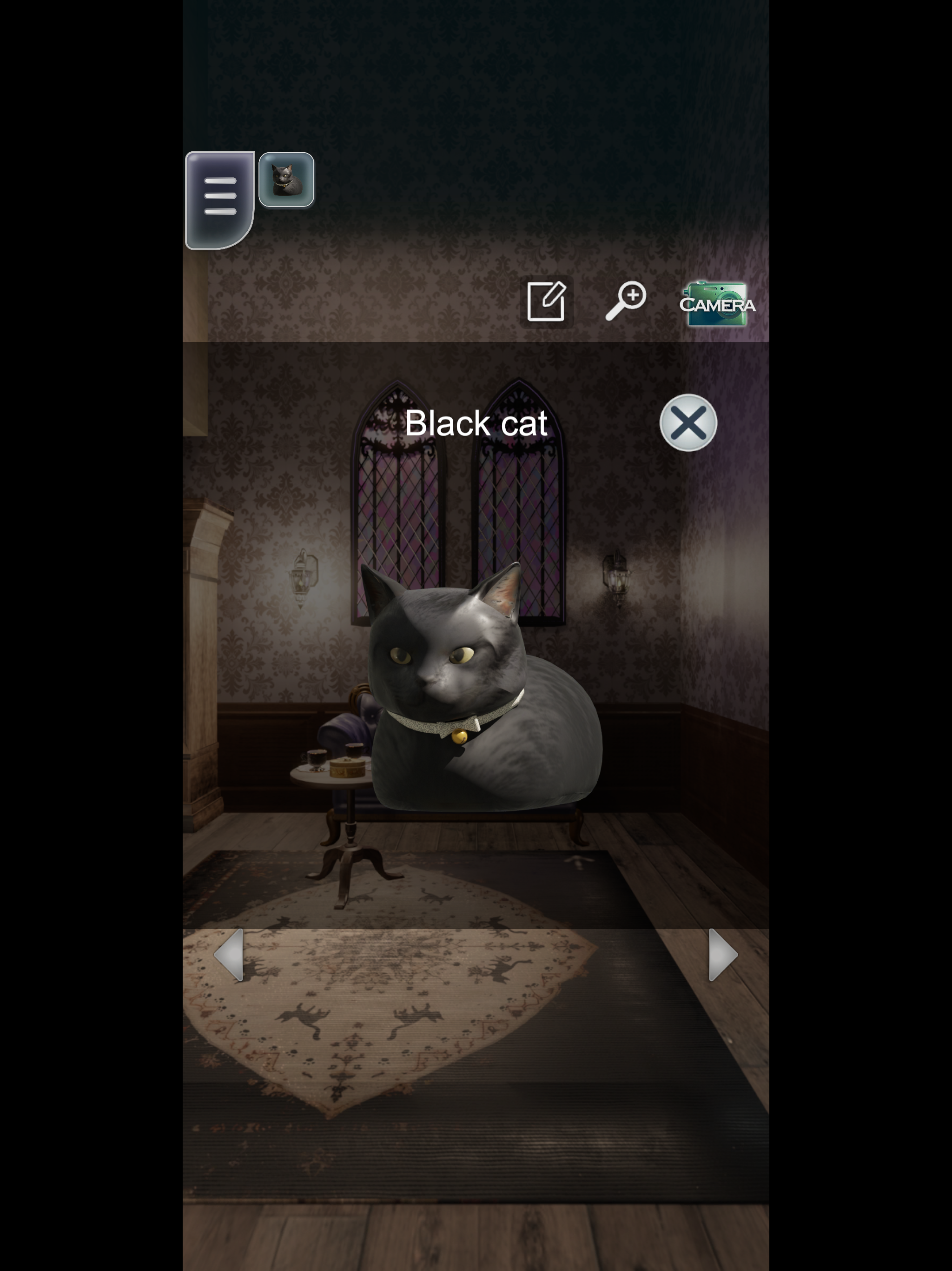 Black Cat Halloween: Escape