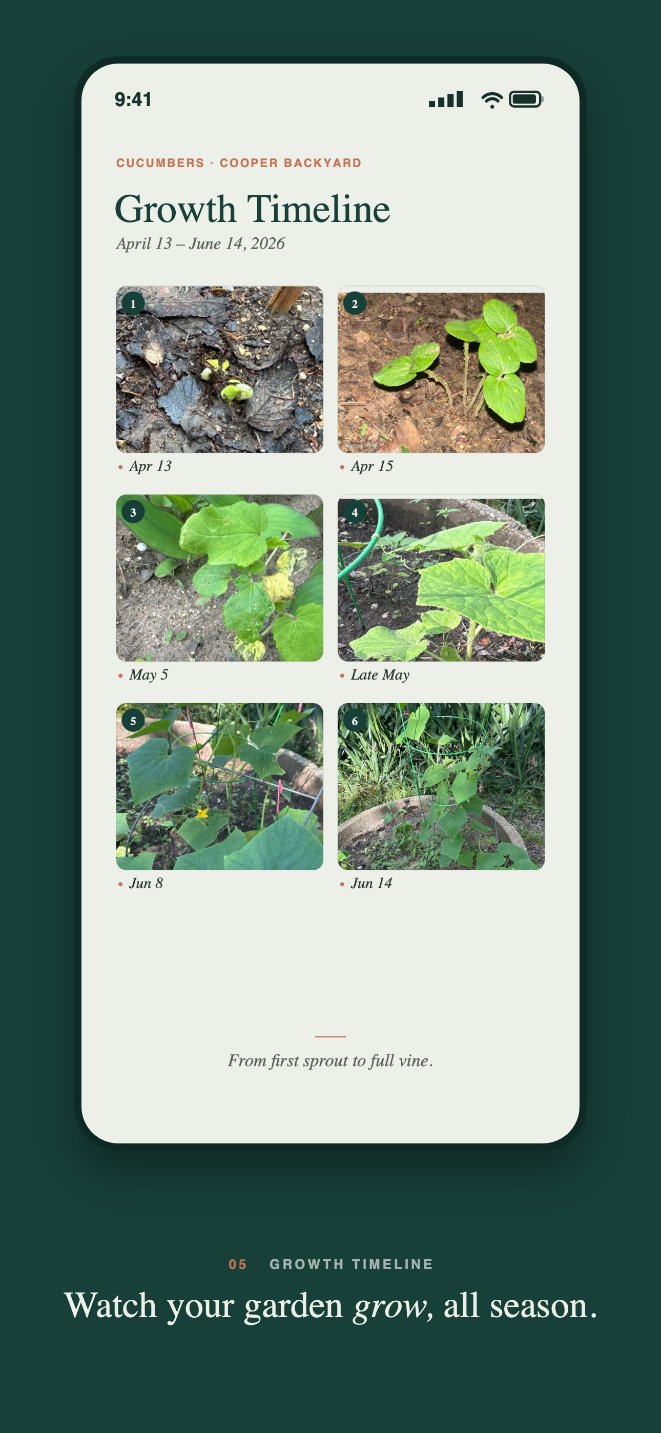 Rooted: Garden Companion screenshot 5