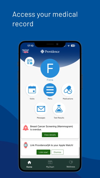 Providence screenshot-4