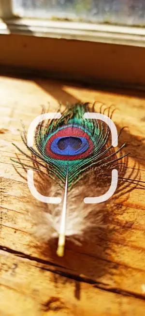 Identifier: Feather screenshot 1