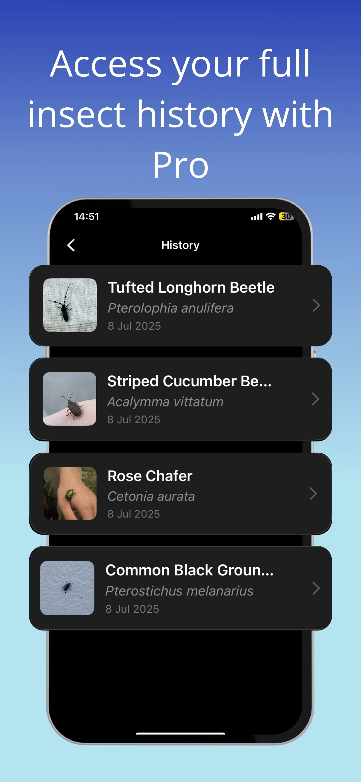 Bug Identifier ° mushi screenshot 4