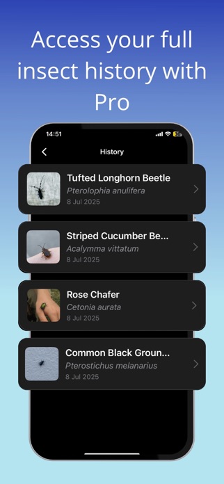 Bug Identifier ° mushi Screenshot 4 of 4