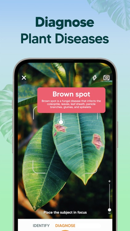 AI Plant Identifier: Care & ID