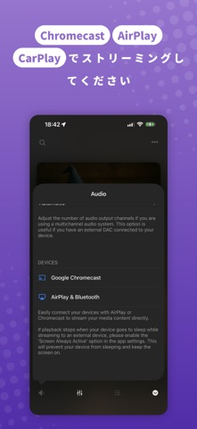 Evermusic: オフライン音楽プレーヤー のスクリーンショット