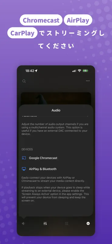 Evermusic: Offline Musikplayer screenshot 8 of 10