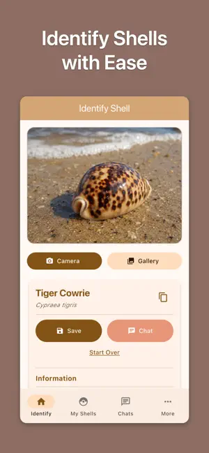 Shell ID: Sea Shell Identifier screenshot 1