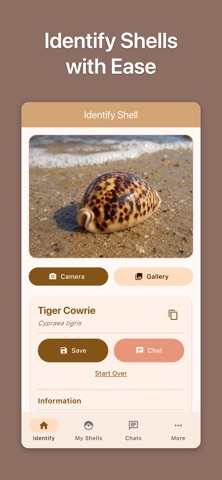Shell ID: Sea Shell Identifier iPhone screenshot
