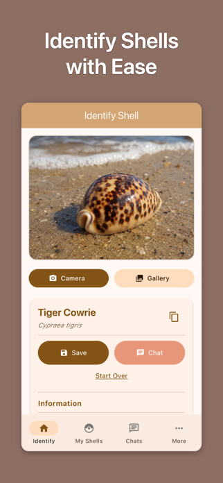 Shell ID: Sea Shell Identifier Screenshot 1 of 5