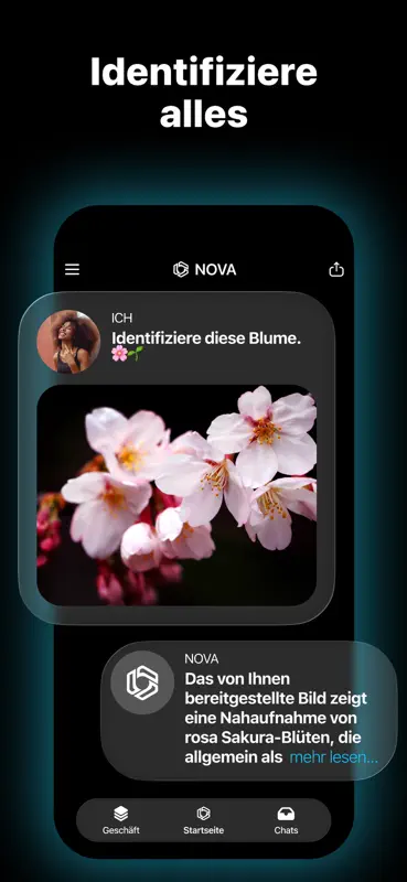 KI-Chatbot – Nova screenshot 6 of 8