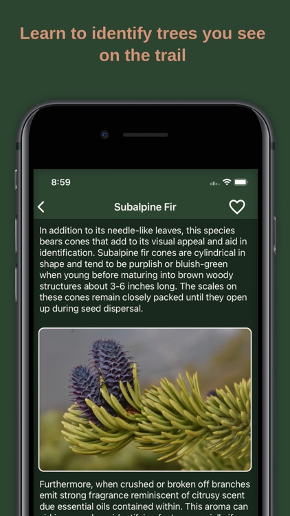 Camping Companion: Camp Guide