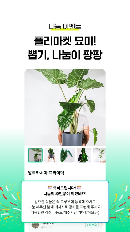 라이브마켓 by 그루우- 식물, 파충류, 덕후들의 마켓