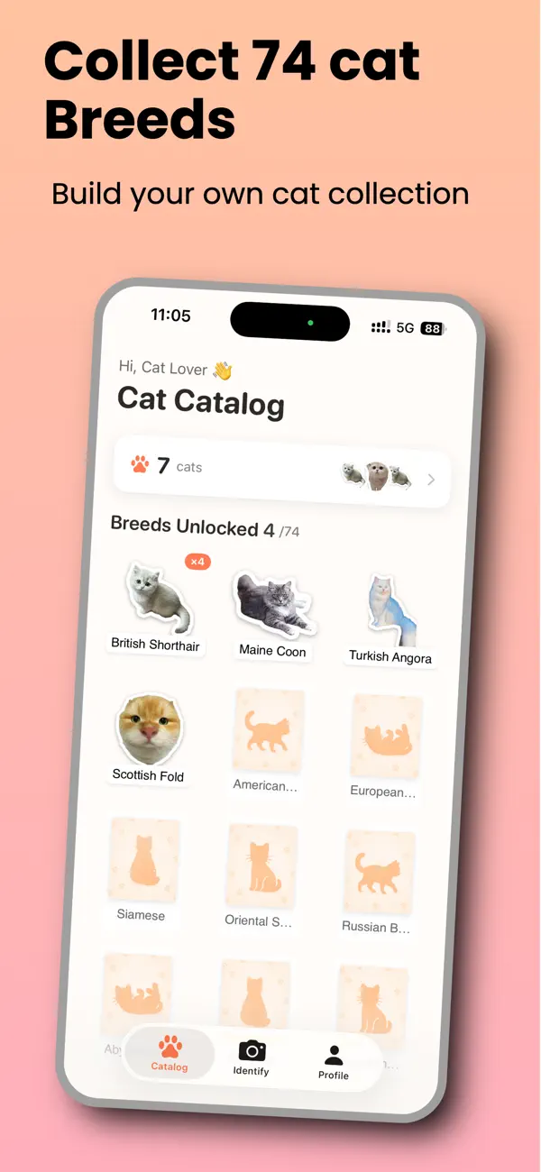 #2. MeowKnow (iOS) بواسطة: 新奇 刘