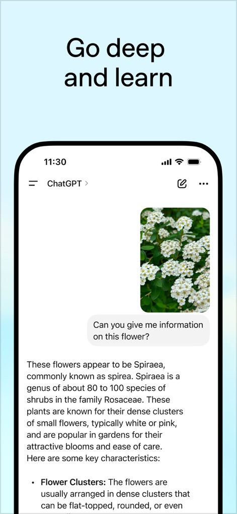 ChatGPT - Visual Query Insights