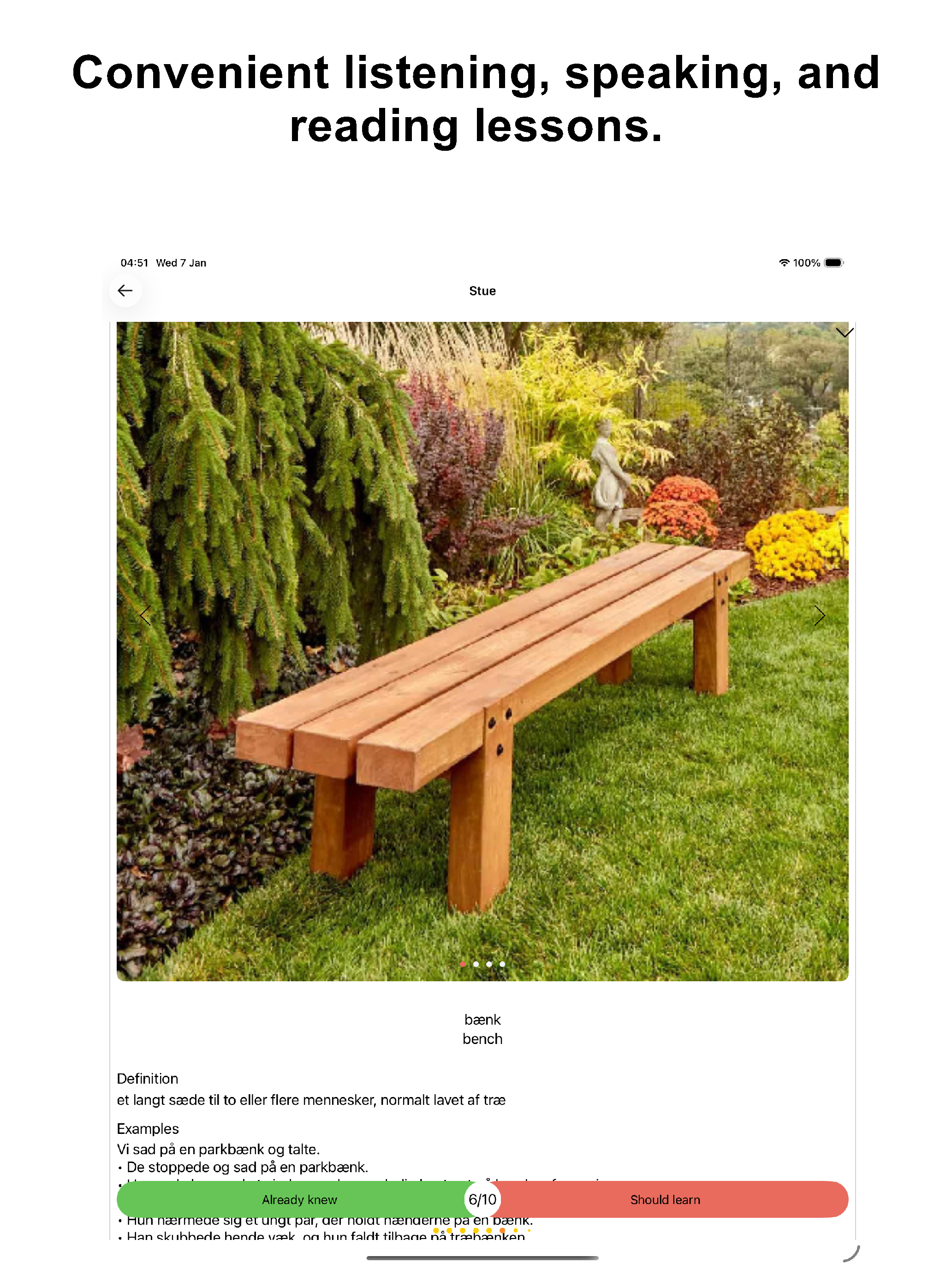 Danish 90.000 Words & Pictures screenshot 12