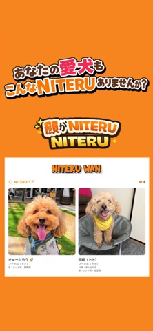 NITERUWAN（ニテルワン） screenshot
