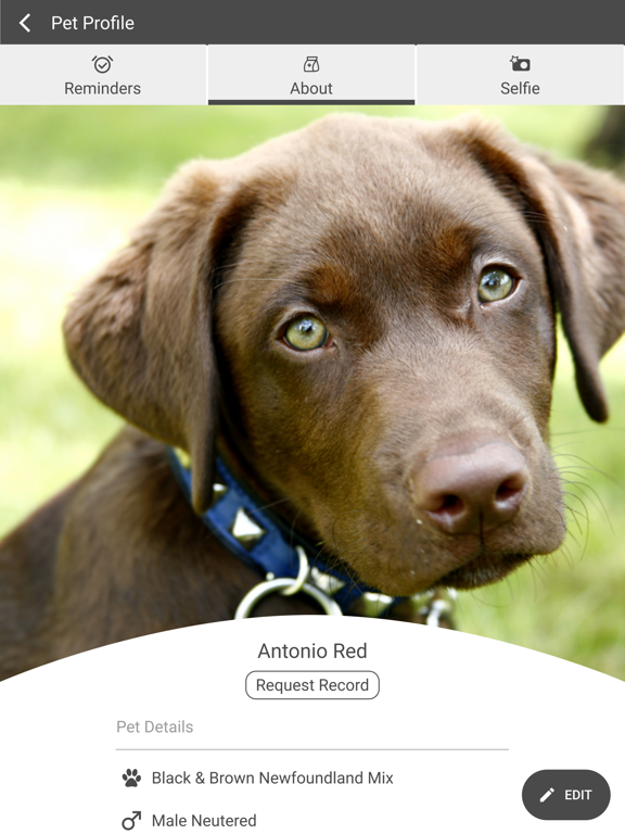 Canyon Pet Hospital iPad screenshot