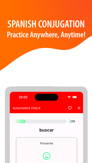 Spanish Grammar & Verbs Screenshot