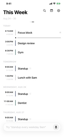 DayCommand: AI Calendar Screenshot 5 of 5