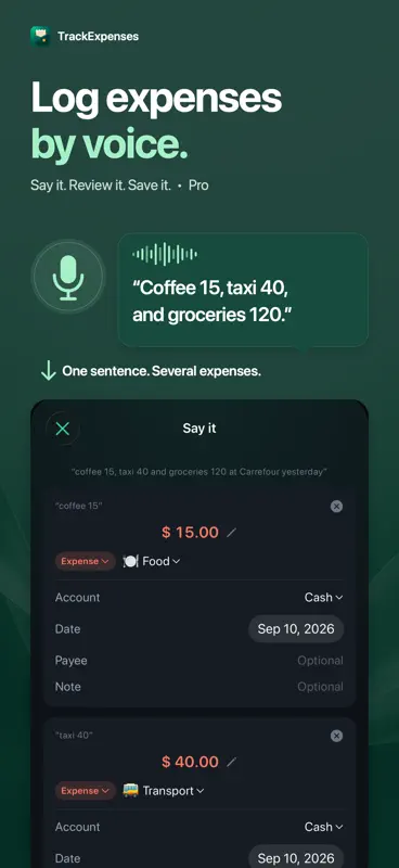 Expense Tracker: SMS & Voice screenshot 3 of 7