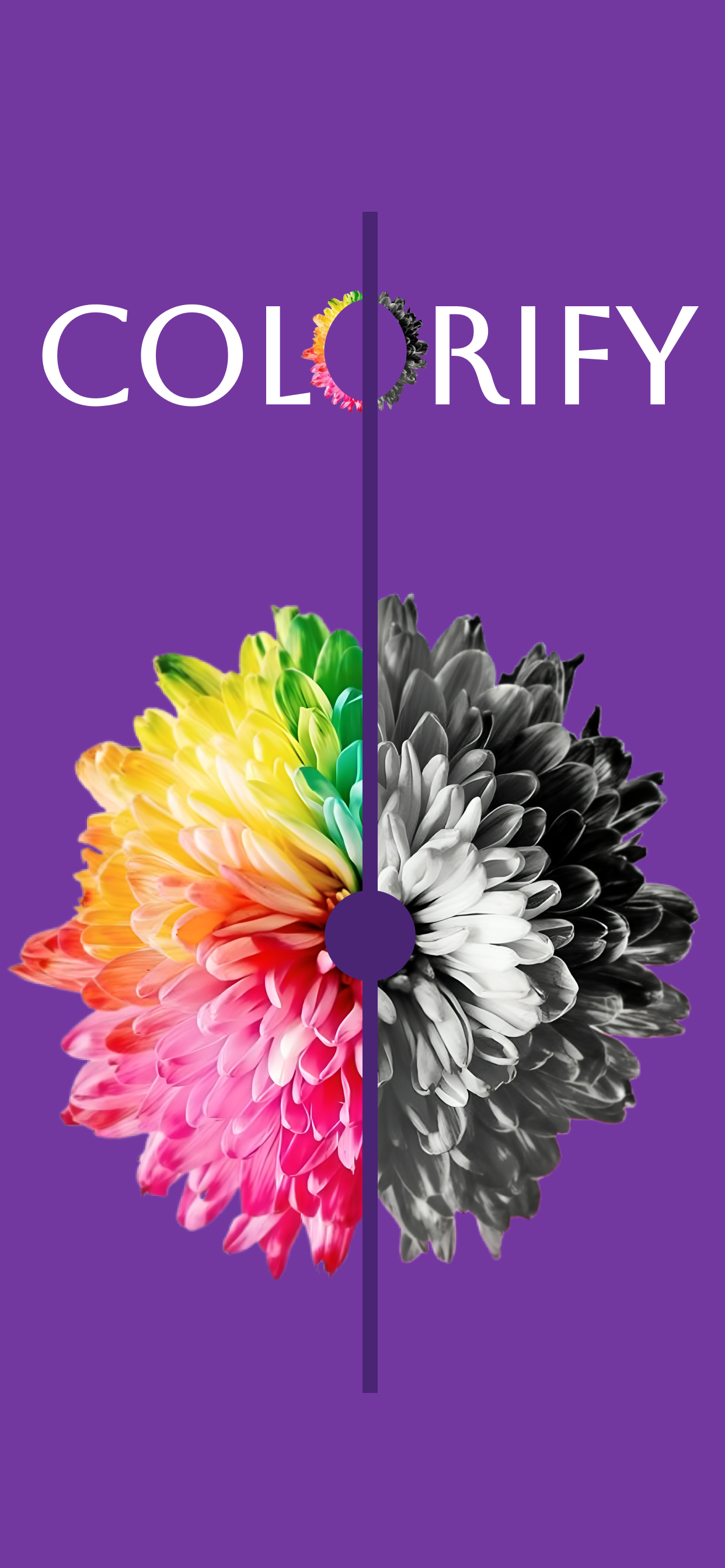 AI Photo Editor - B&W Colorify