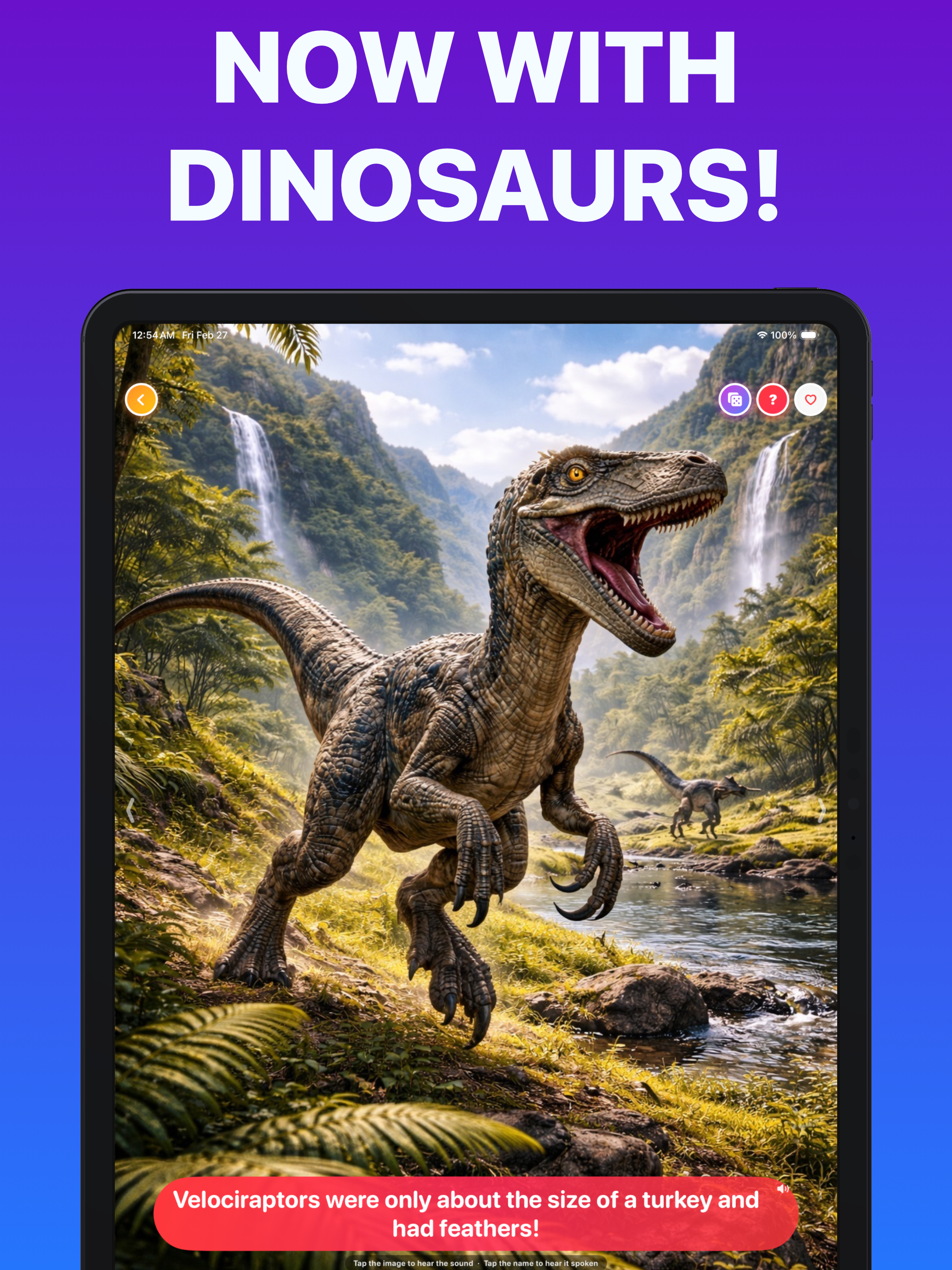 Guess the Animal Sounds: Kids screenshot 13