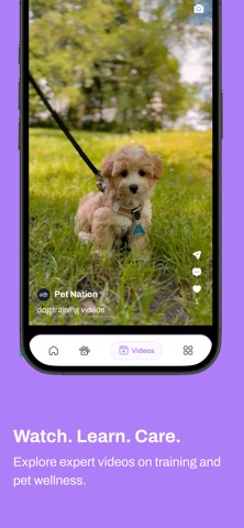Pet Nation Application screenshot