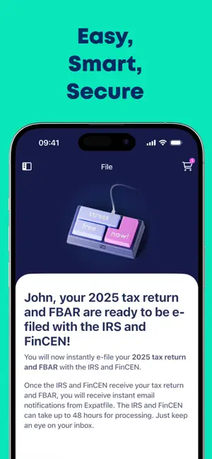 Expatfile - US Expat Taxes screenshot 4