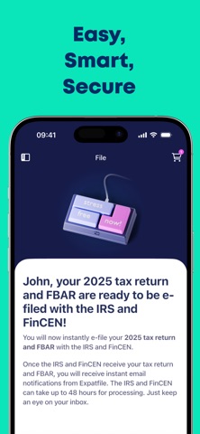 Expatfile - US Expat Taxes screenshot