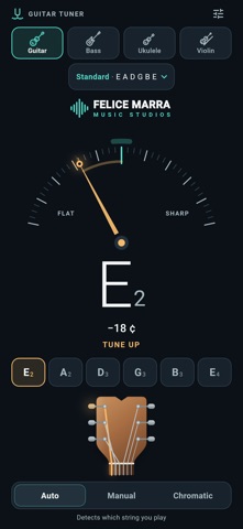 Guitar Strings Tuner screenshot 2