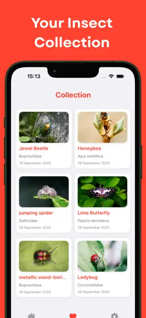 Bug Identifier! AI Scanner screenshot 3