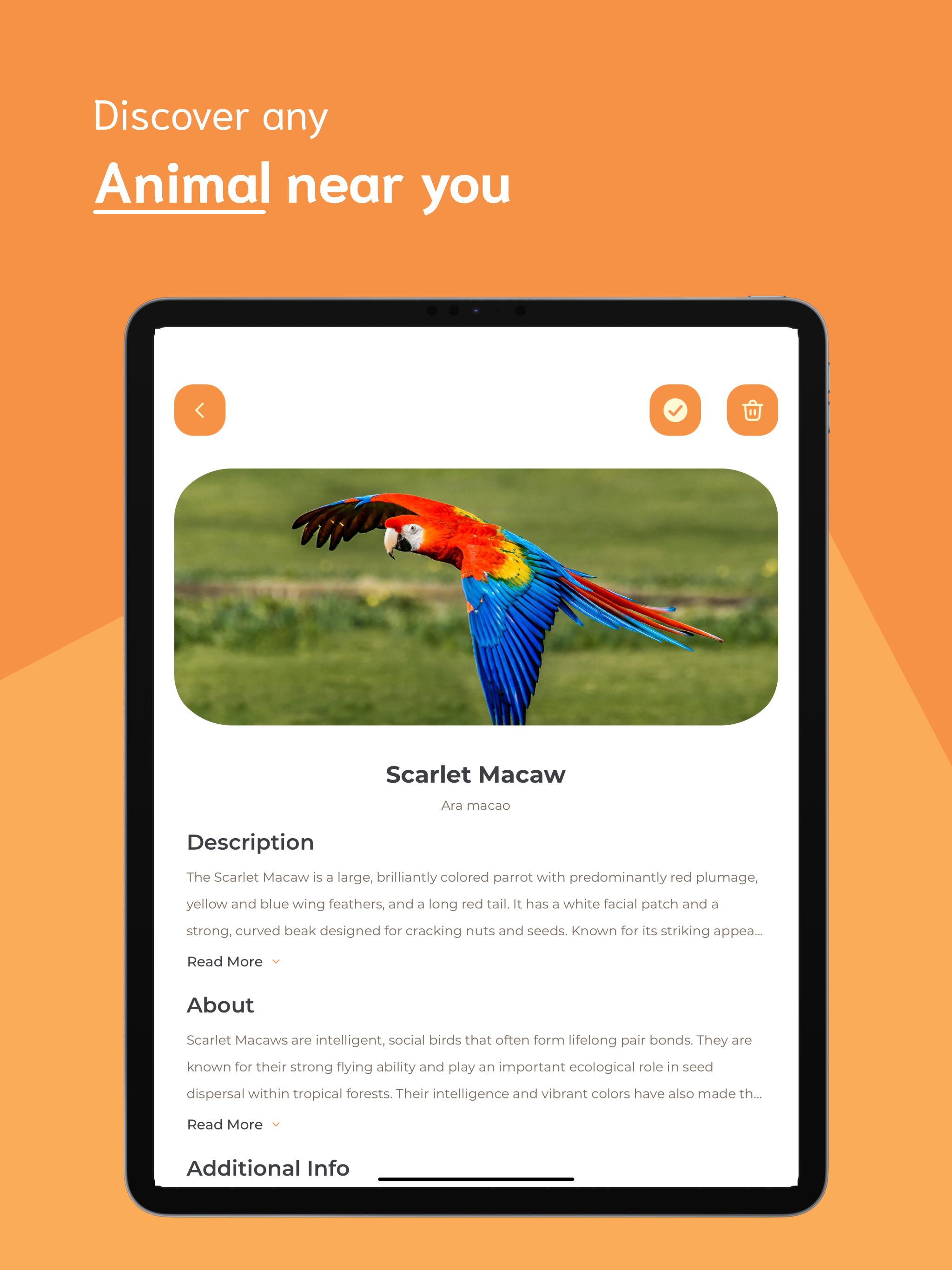 Animal Identifier - AI