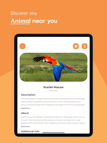 Animal Identifier - AI iPad screenshot
